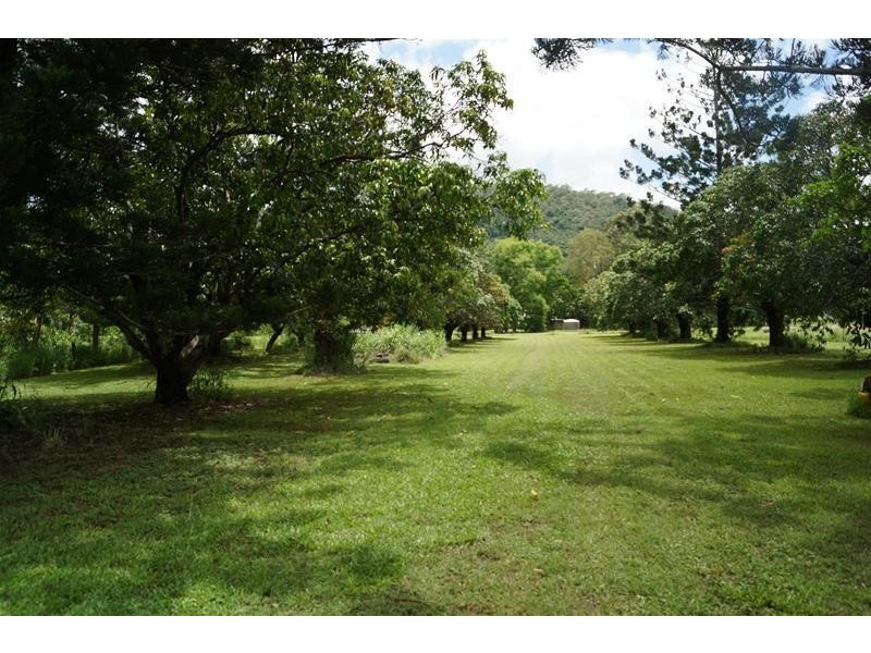 1446 Sarina Homebush Road, Sunnyside QLD 4737