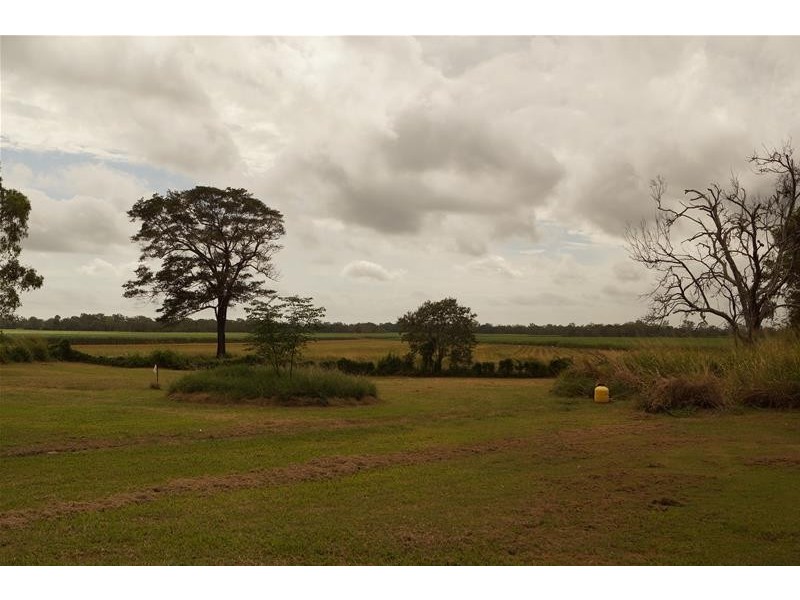 1446 Sarina Homebush Road, Sunnyside QLD 4737