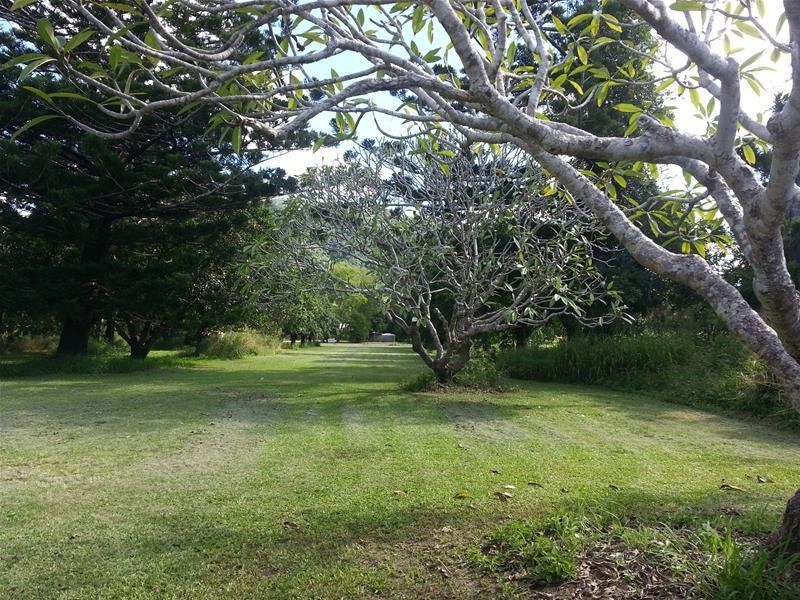 1446 Sarina Homebush Road, Sunnyside QLD 4737