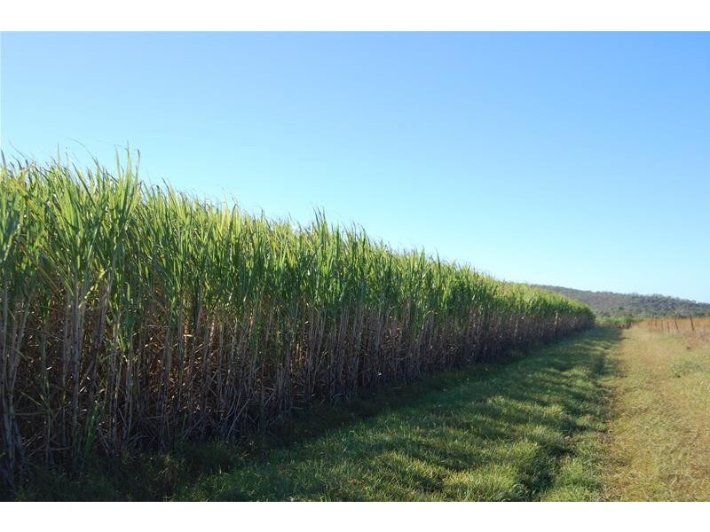 23 Mill Street, Sarina QLD 4737