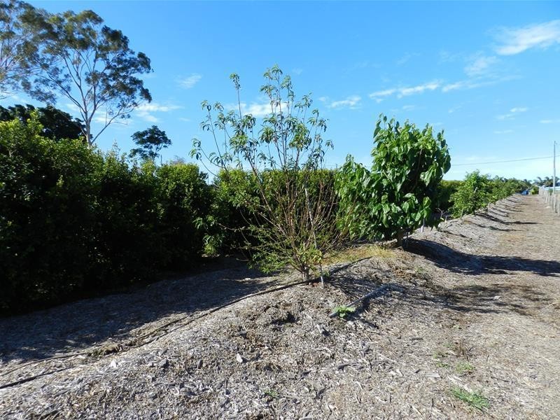 930 Grasstree Road, Sarina Beach QLD 4737