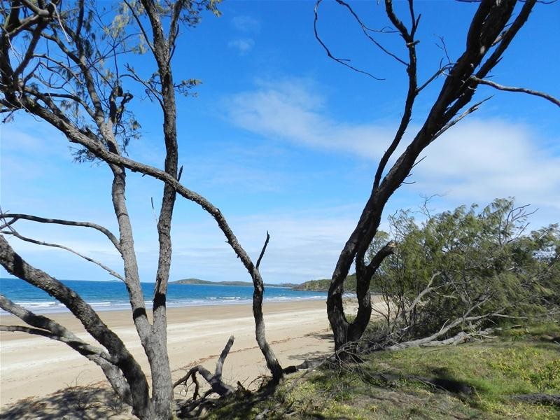 29 Owen Jenkins Drive, Sarina Beach QLD 4737