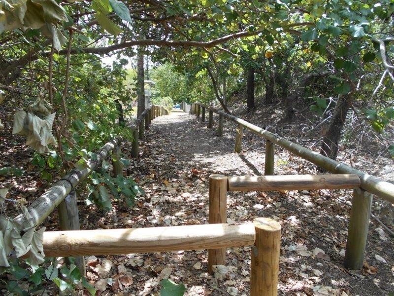 17 Coral Drive, Blacks Beach QLD 4740