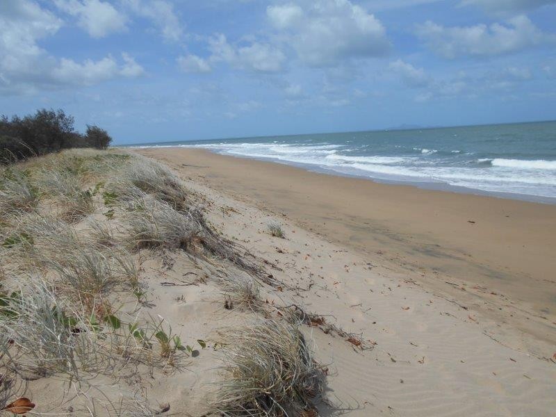 17 Coral Drive, Blacks Beach QLD 4740