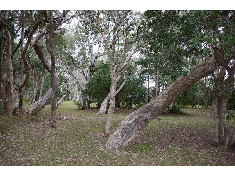 36 Wilson Road, Armstrong Beach QLD 4737