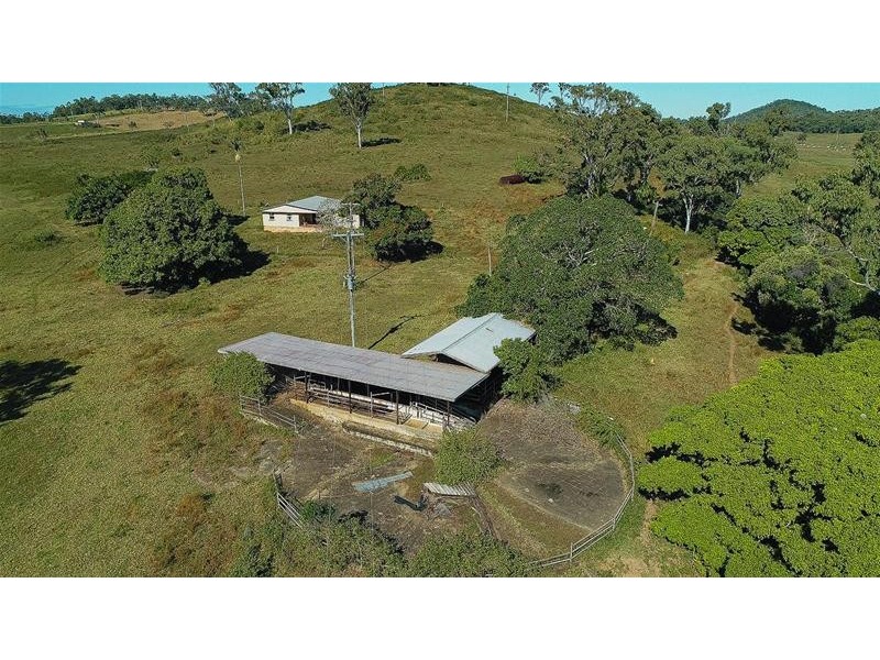552 Hay Point Road, Alligator Creek QLD 4740