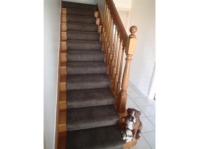 12 Nathan Court, Beaconsfield QLD 4740