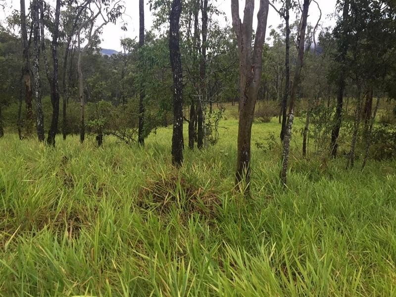 61 Lawrie Road, Sarina Range QLD 4737