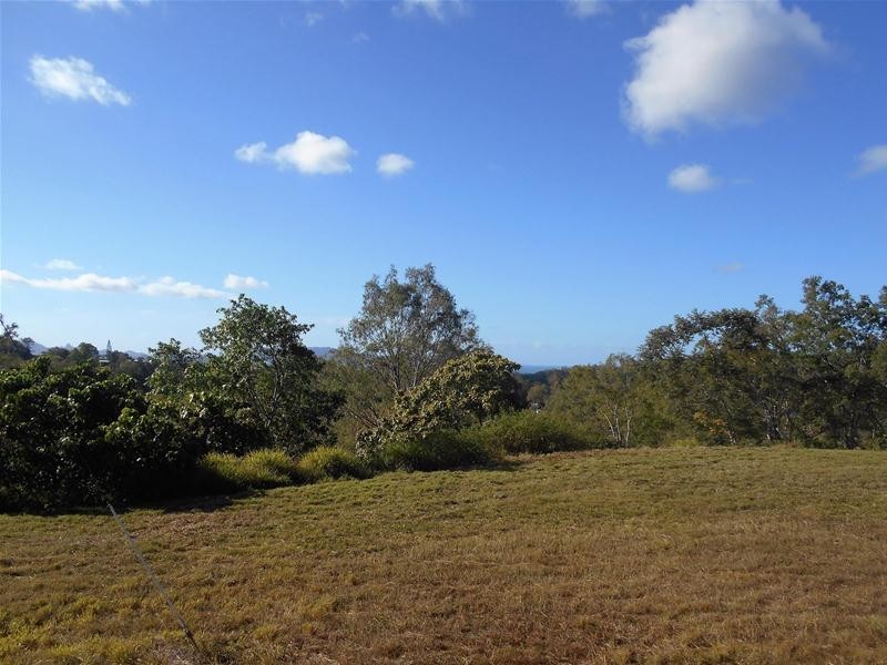 93 Danmaar Drive, Habana QLD 4740