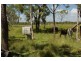 368 Riley Road, Koumala QLD 4738