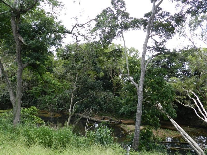 15 Music Street, Carmila QLD 4739