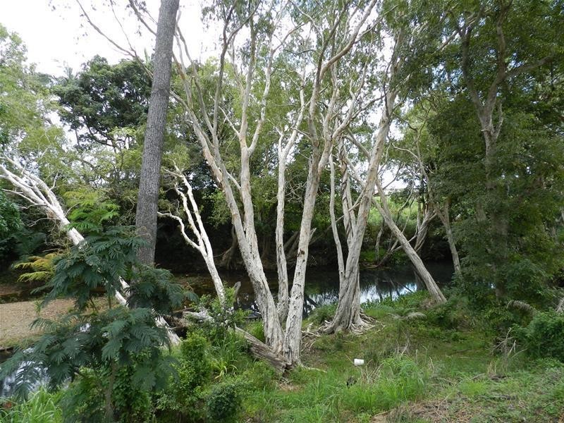 15 Music Street, Carmila QLD 4739