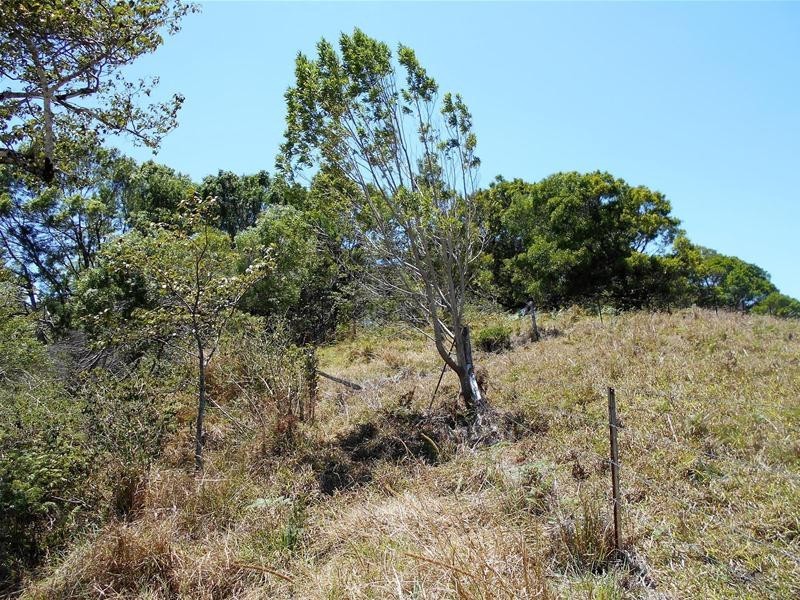 3 (Lot 3) Chelmans Road, Dalrymple Heights QLD 4757