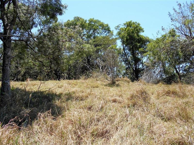 3 (Lot 3) Chelmans Road, Dalrymple Heights QLD 4757