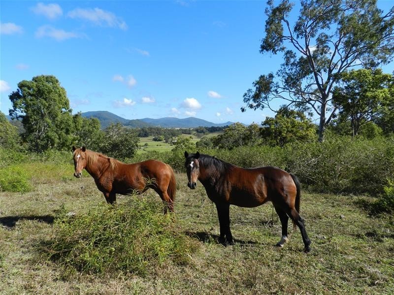 1 (Lot 1) Nicholson Road, Sarina QLD 4737