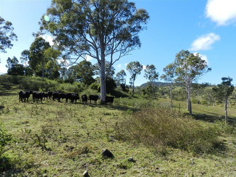 1 (Lot 1) Nicholson Road, Sarina QLD 4737