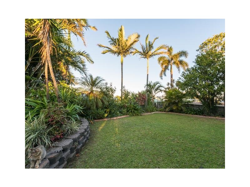 16 Pioneer Street, Mount Pleasant QLD 4740