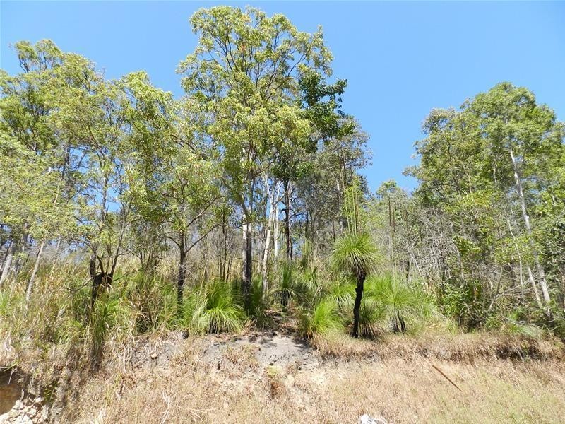 603 East Funnel Creek Road, Sarina QLD 4737