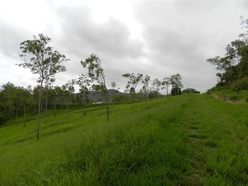 98 Lawrie Road, Sarina Range QLD 4737