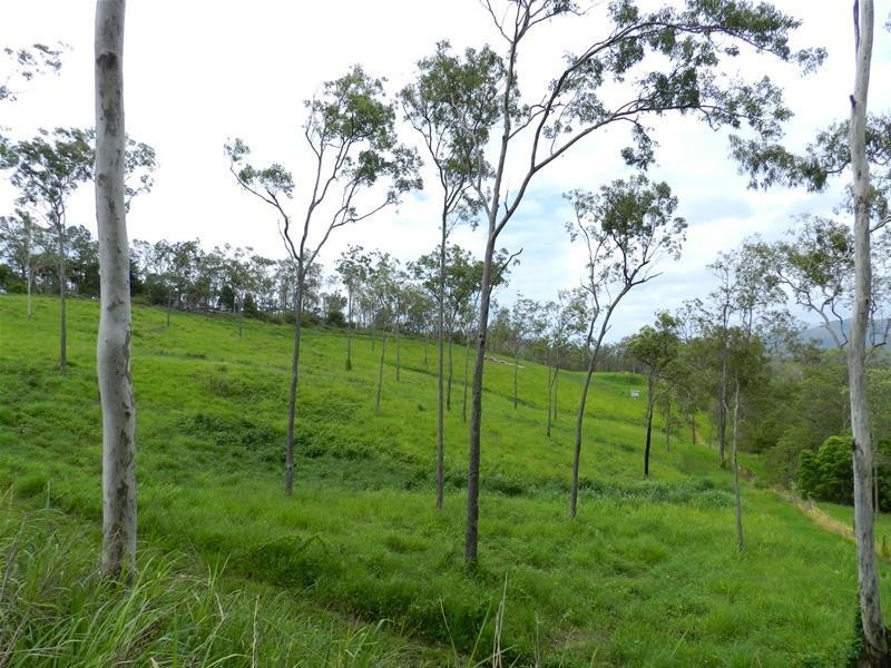 98 Lawrie Road, Sarina Range QLD 4737