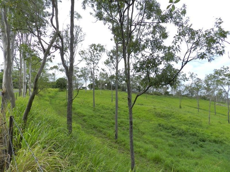 98 Lawrie Road, Sarina Range QLD 4737
