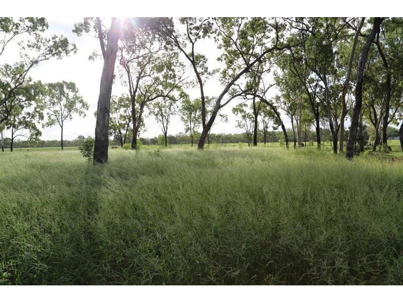 480 Airstrip Road, Nebo QLD 4742