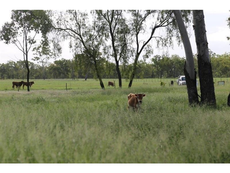 480 Airstrip Road, Nebo QLD 4742