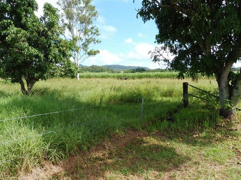 1085  Mount Martin Loop Road, Mount Martin QLD 4754