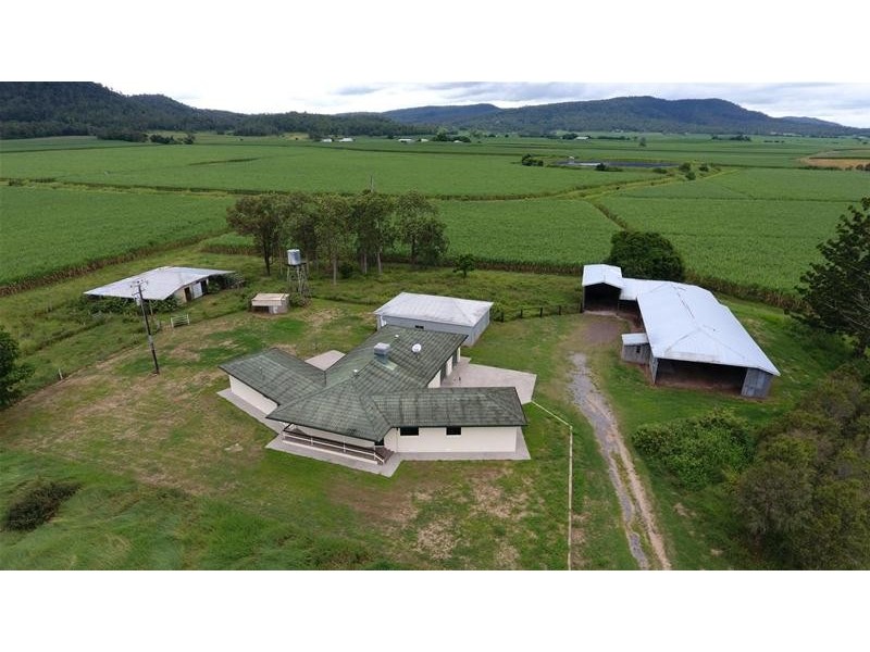 1085  Mount Martin Loop Road, Mount Martin QLD 4754