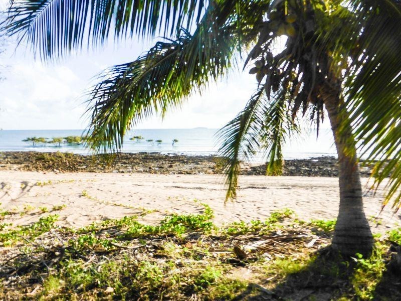 95 Colonial Drive, Clairview QLD 4741