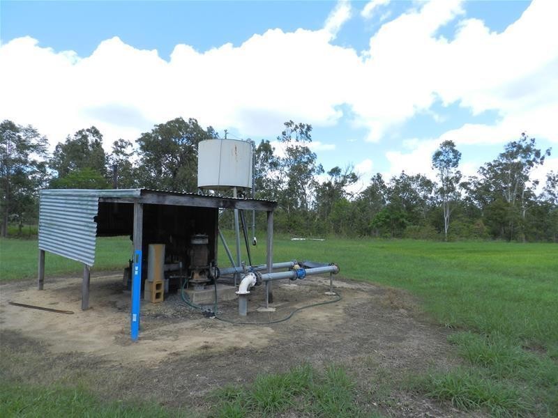 294 Pinevale Road, Mirani QLD 4754