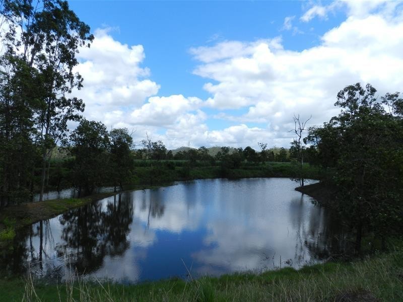 294 Pinevale Road, Mirani QLD 4754