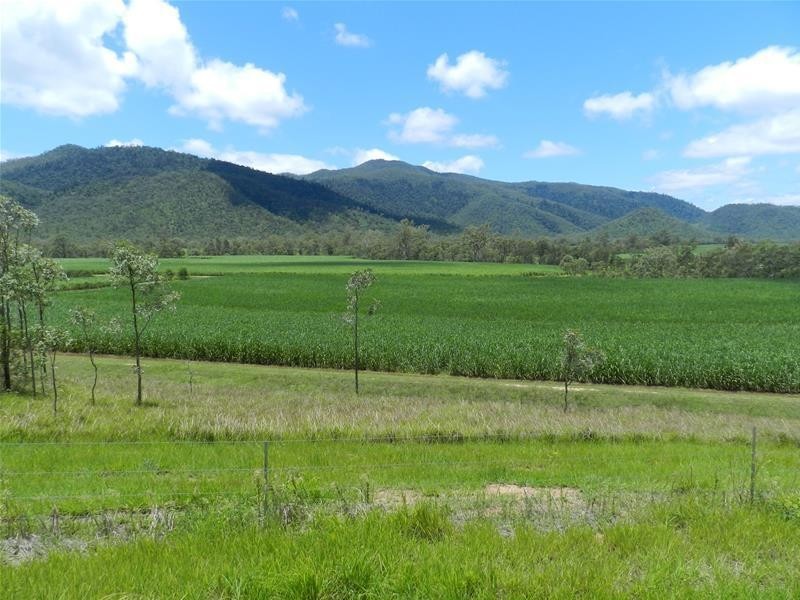 294 Pinevale Road, Mirani QLD 4754