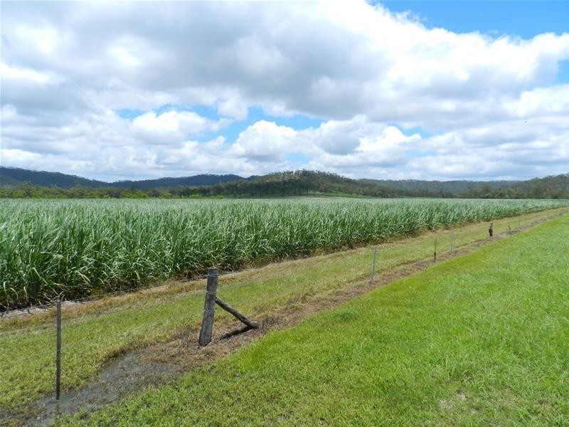 294 Pinevale Road, Mirani QLD 4754