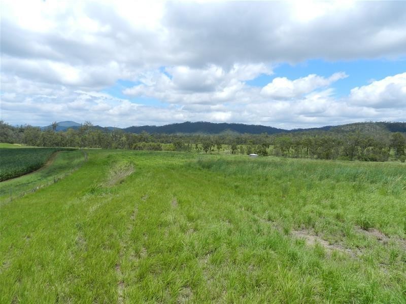 294 Pinevale Road, Mirani QLD 4754