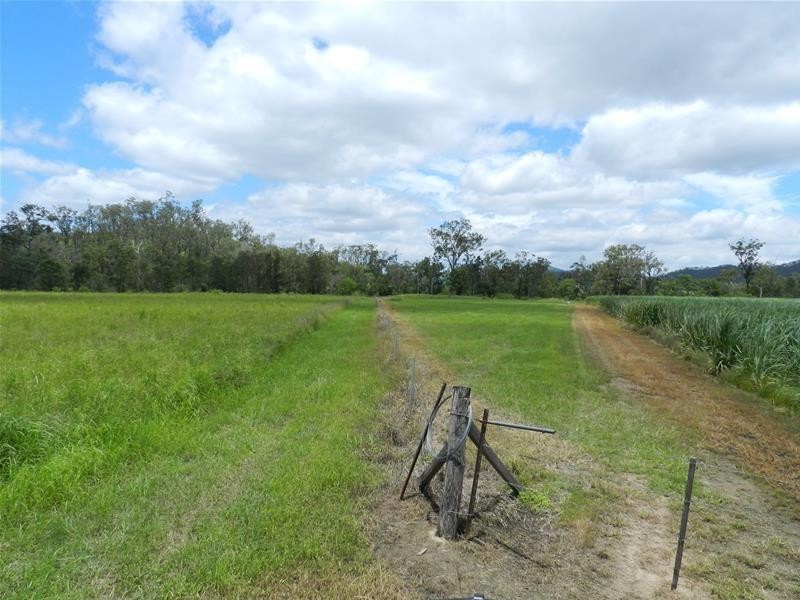 294 Pinevale Road, Mirani QLD 4754