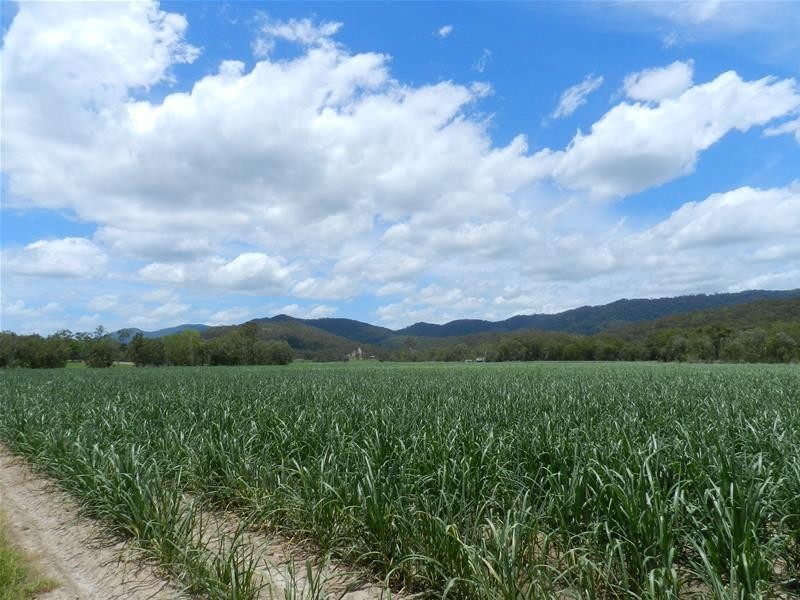 89806 Bruce Highway, Sarina QLD 4737