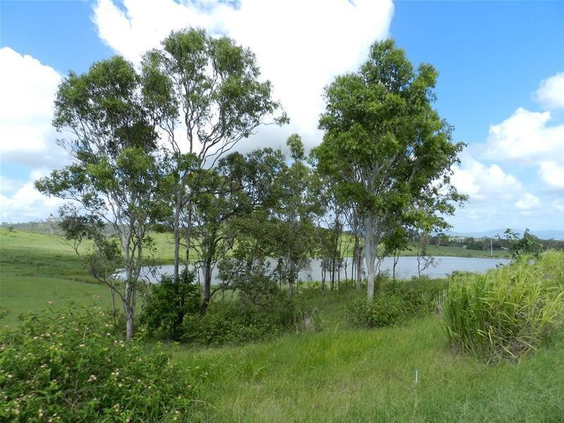 82 Coleshill Drive, Alligator Creek QLD 4740