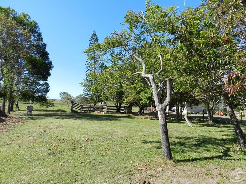 73 Droughtmaster Drive, Hay Point QLD 4740