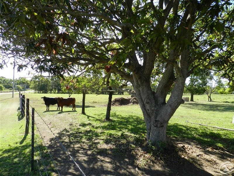 73 Droughtmaster Drive, Hay Point QLD 4740