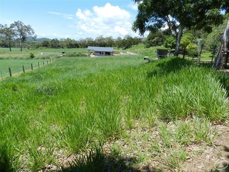 53 Mick Ready Beach Road, Grasstree Beach QLD 4740