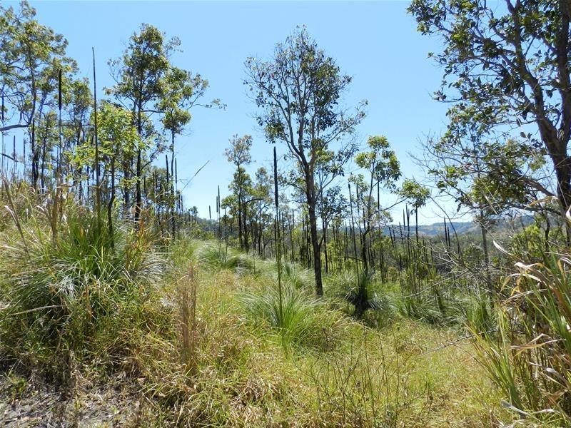 603 East Funnel Creek Road, Sarina QLD 4737