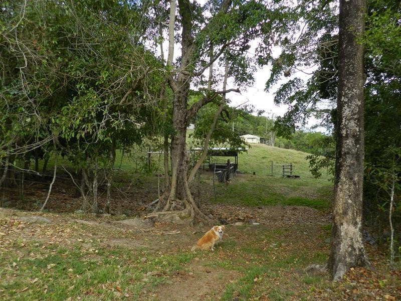 176 Middle Creek Road, Sarina QLD 4737