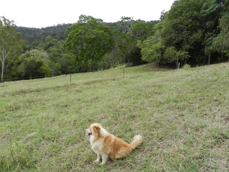 176 Middle Creek Road, Sarina QLD 4737