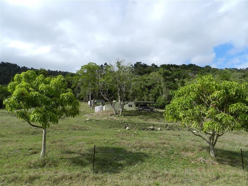 176 Middle Creek Road, Sarina QLD 4737