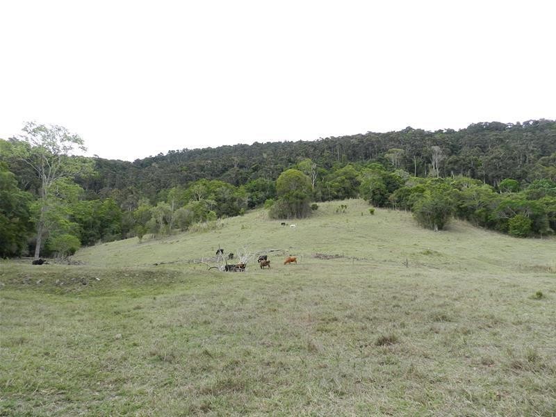 176 Middle Creek Road, Sarina QLD 4737