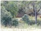 650 Middle Creek Road, Sarina QLD 4737