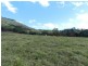 650 Middle Creek Road, Sarina QLD 4737