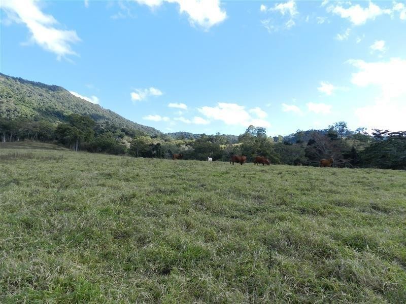 650 Middle Creek Road, Sarina QLD 4737