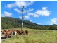 650 Middle Creek Road, Sarina QLD 4737